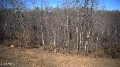 Tiny photo for 531 Cedar Gate Lane, LaFollette, TN 37766 (MLS # 1330854)