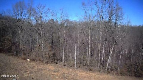 Tiny photo for 531 Cedar Gate Lane, LaFollette, TN 37766 (MLS # 1330854)
