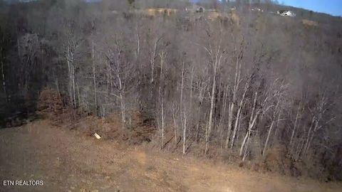 Tiny photo for 531 Cedar Gate Lane, LaFollette, TN 37766 (MLS # 1330854)