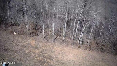 Tiny photo for 531 Cedar Gate Lane, LaFollette, TN 37766 (MLS # 1330854)