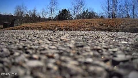 Tiny photo for 531 Cedar Gate Lane, LaFollette, TN 37766 (MLS # 1330854)