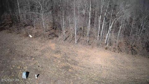 Tiny photo for 531 Cedar Gate Lane, LaFollette, TN 37766 (MLS # 1330854)