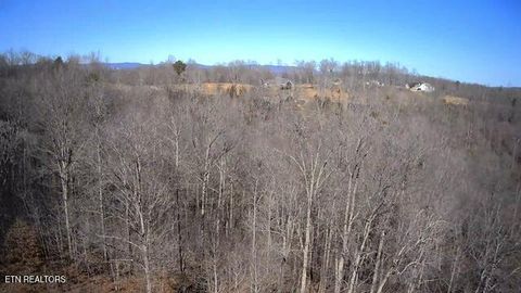 Tiny photo for 531 Cedar Gate Lane, LaFollette, TN 37766 (MLS # 1330854)
