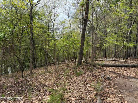 Tiny photo for John Spears Way, Sevierville, TN 37876 (MLS # 1339672)