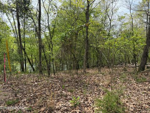 Tiny photo for John Spears Way, Sevierville, TN 37876 (MLS # 1339672)