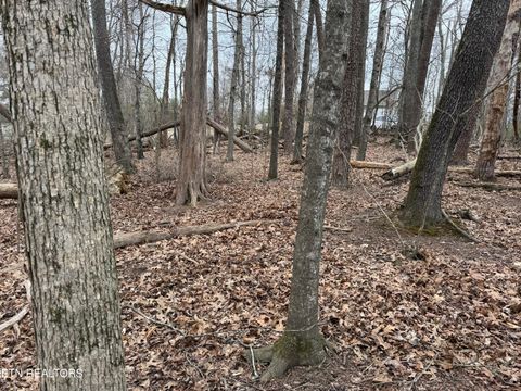 Tiny photo for John Spears Way, Sevierville, TN 37876 (MLS # 1339672)