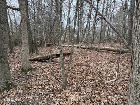 Tiny photo for John Spears Way, Sevierville, TN 37876 (MLS # 1339672)