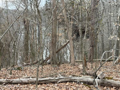 Tiny photo for John Spears Way, Sevierville, TN 37876 (MLS # 1339672)