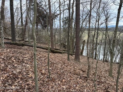 Tiny photo for John Spears Way, Sevierville, TN 37876 (MLS # 1339672)