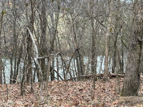 Tiny photo for John Spears Way, Sevierville, TN 37876 (MLS # 1339672)
