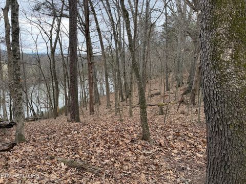 Tiny photo for John Spears Way, Sevierville, TN 37876 (MLS # 1339672)