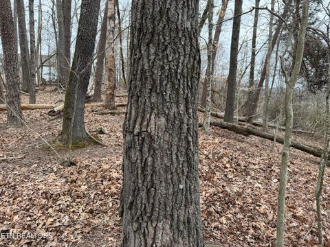Tiny photo for John Spears Way, Sevierville, TN 37876 (MLS # 1339672)