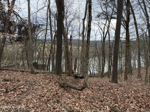 Tiny photo for John Spears Way, Sevierville, TN 37876 (MLS # 1339672)