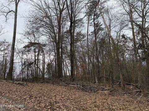 Tiny photo for John Spears Way, Sevierville, TN 37876 (MLS # 1339672)