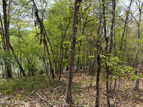 Tiny photo for John Spears Way, Sevierville, TN 37876 (MLS # 1339672)