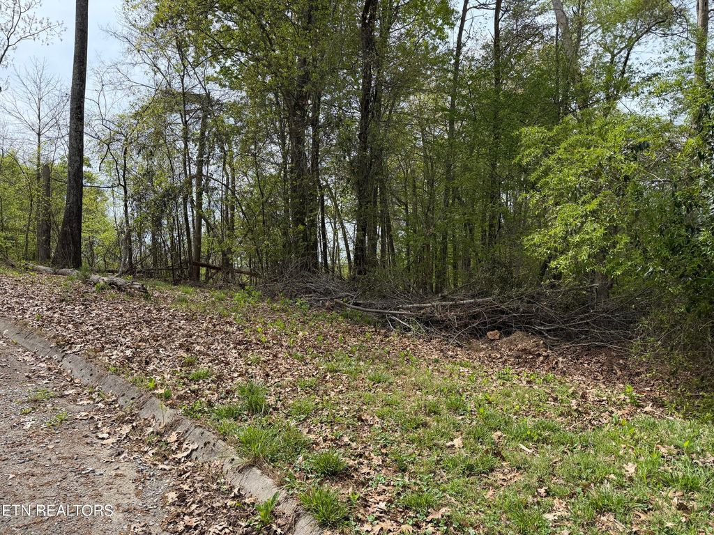 Photo of John Spears Way, Sevierville, TN 37876 (MLS # 1339672)