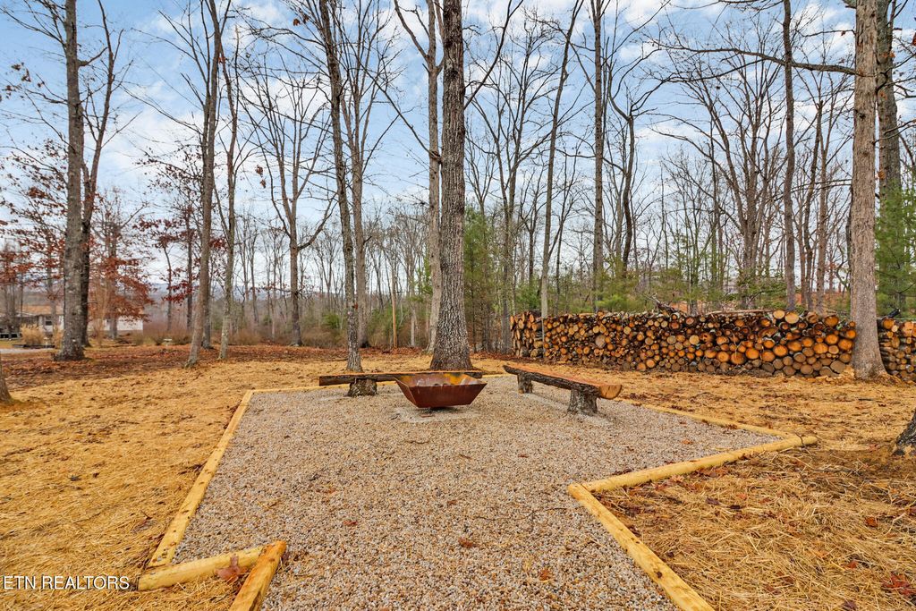 Photo of 171 Dakota Tr, Rockwood, TN 37854 (MLS # 1285775)