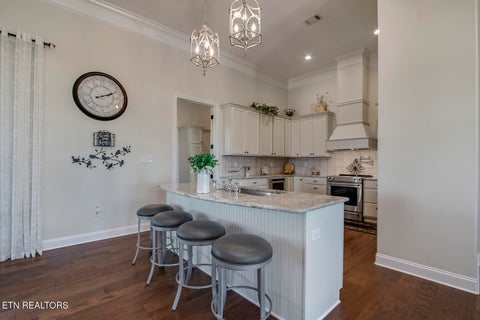 Tiny photo for 141 Gold Finch Lane, Vonore, TN 37885 (MLS # 1343681)
