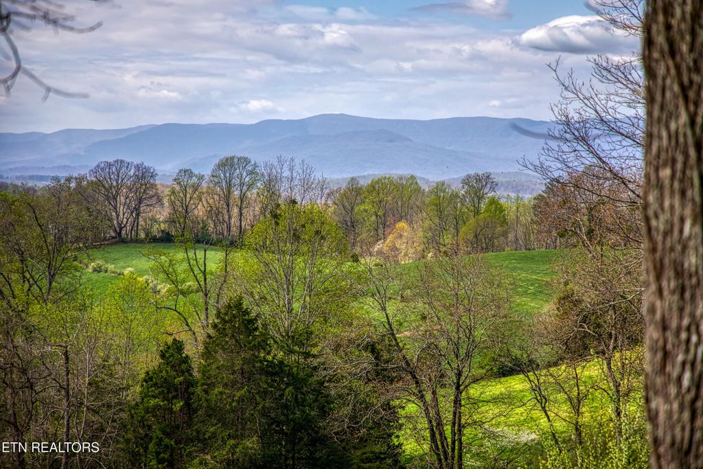 Photo of 910 Ridge Circle Rd, Andersonville, TN 37705 (MLS # 1335244)