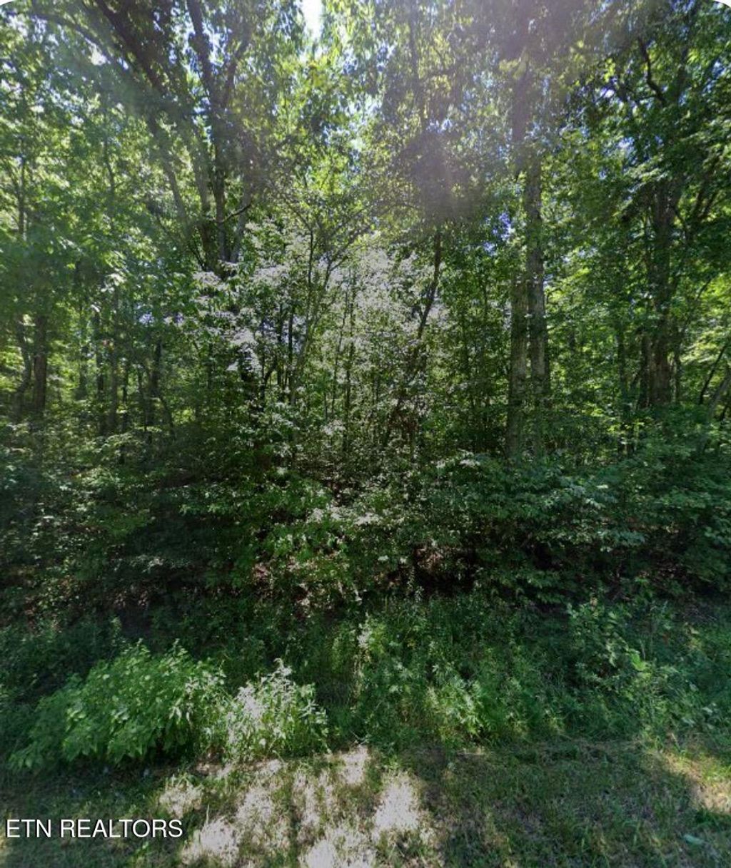 Photo of 6115 Pocahontas Lane, Crossville, TN 38572 (MLS # 1345422)
