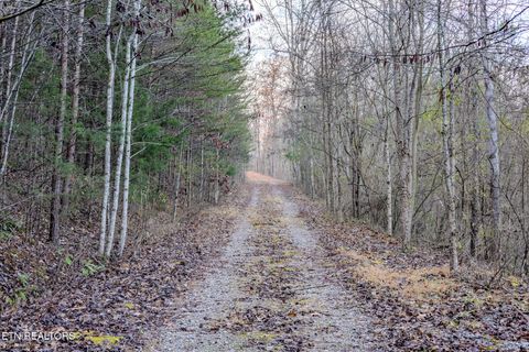 Tiny photo for 3 stonehinge, Unicoi Church Rd, Tellico Plains, TN 37385 (MLS # 1324319)