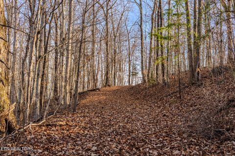 Tiny photo for 3 stonehinge, Unicoi Church Rd, Tellico Plains, TN 37385 (MLS # 1324319)