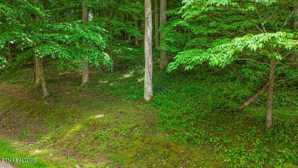 Photo of Butcher Lane, Rocky Top, TN 37769 (MLS # 1302460)