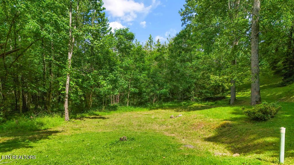 Photo of Butcher Lane, Rocky Top, TN 37769 (MLS # 1302460)