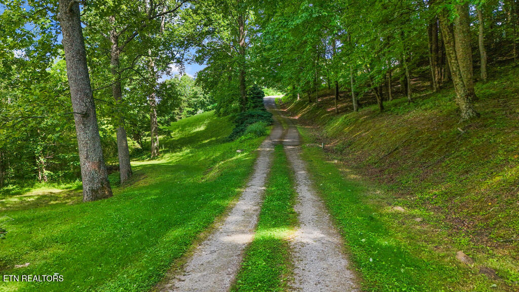 Butcher Lane