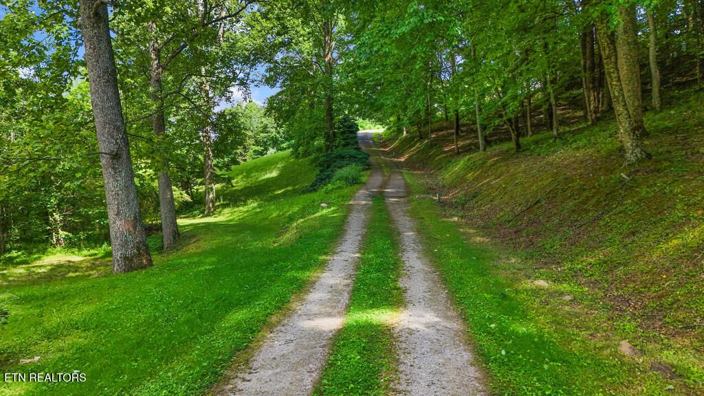 Photo of Butcher Lane, Rocky Top, TN 37769 (MLS # 1302460)