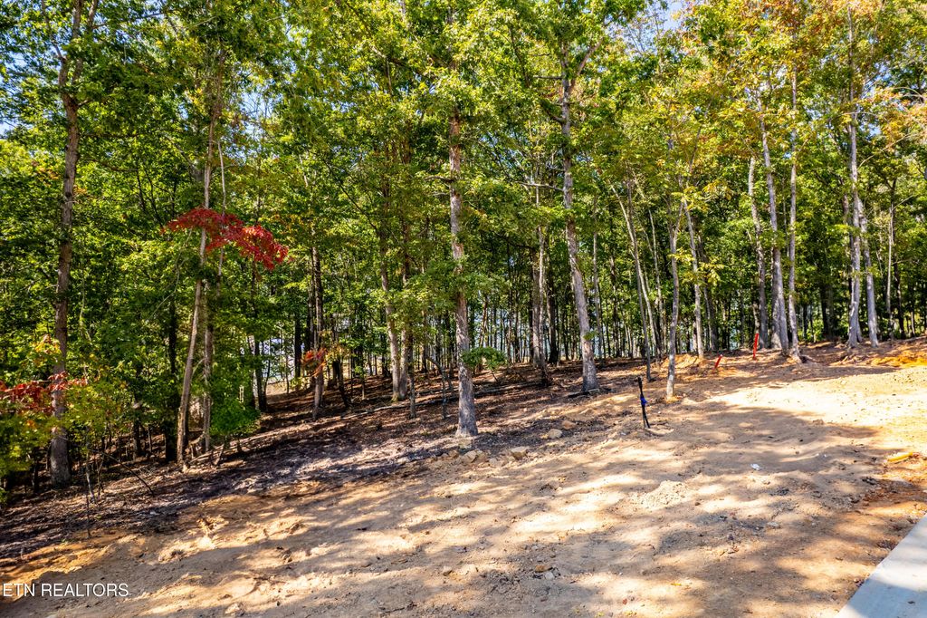 Photo of 2501 Old Dogwood Tr, Loudon, TN 37774 (MLS # 1316246)