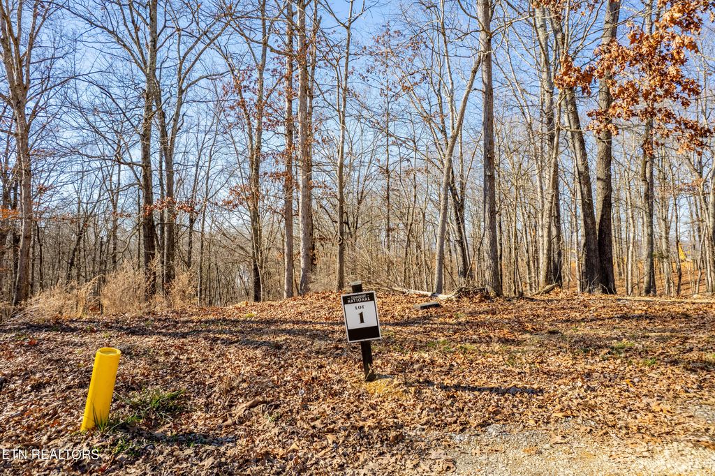 Photo of 2501 Old Dogwood Tr, Loudon, TN 37774 (MLS # 1316246)