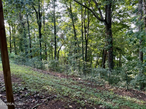 Tiny photo for 167 Hudson Lane, Clinton, TN 37716 (MLS # 1354707)