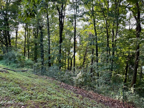 Tiny photo for 167 Hudson Lane, Clinton, TN 37716 (MLS # 1354707)