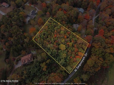 Photo of N Sequoyah Drive, Friendsville, TN 37737 (MLS # 1325714)
