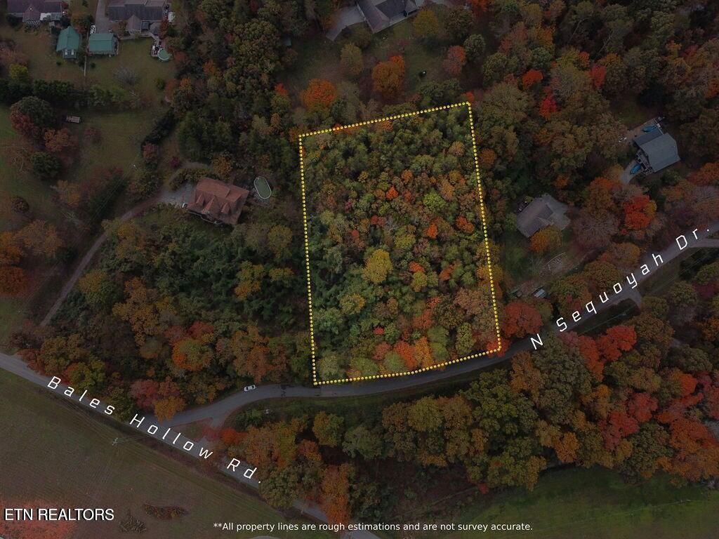 Photo of N Sequoyah Drive, Friendsville, TN 37737 (MLS # 1325714)