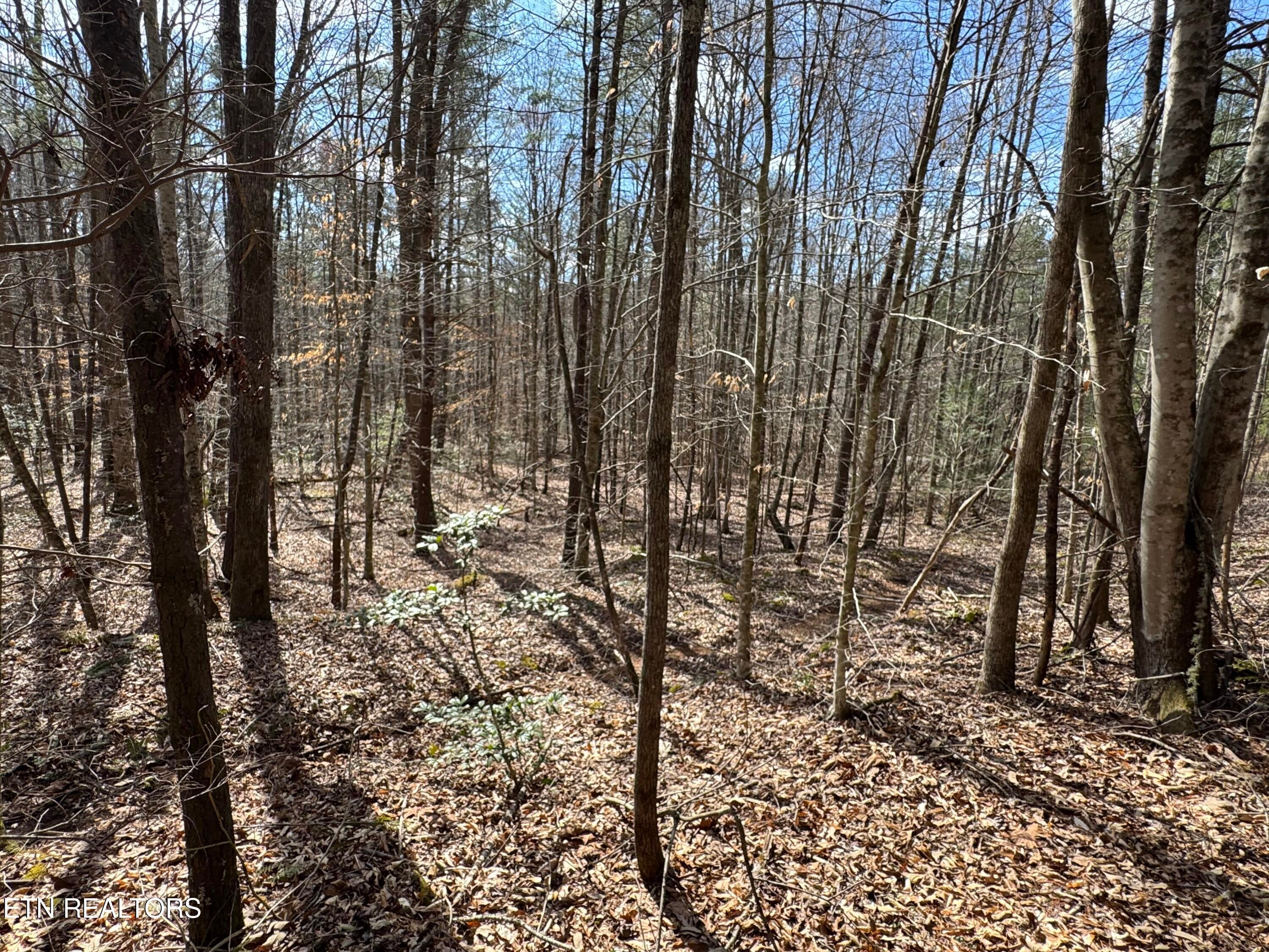 Cougar Trail 4.54ac lot 15
