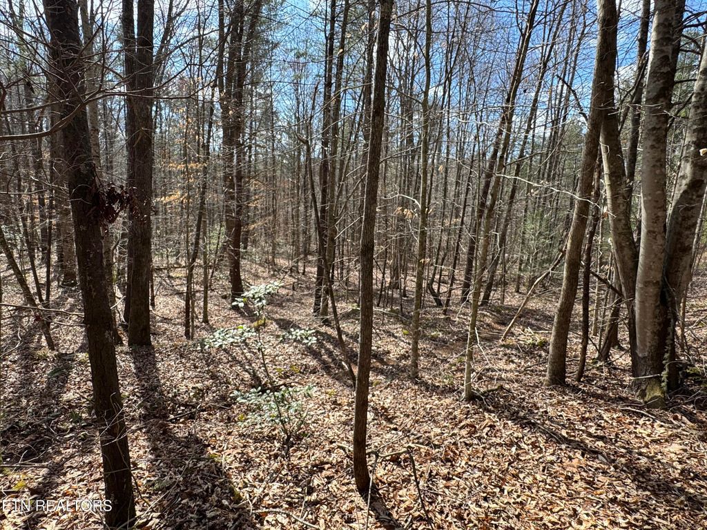 Photo of Cougar Trail 10.1, Del Rio, TN 37727 (MLS # 1294322)
