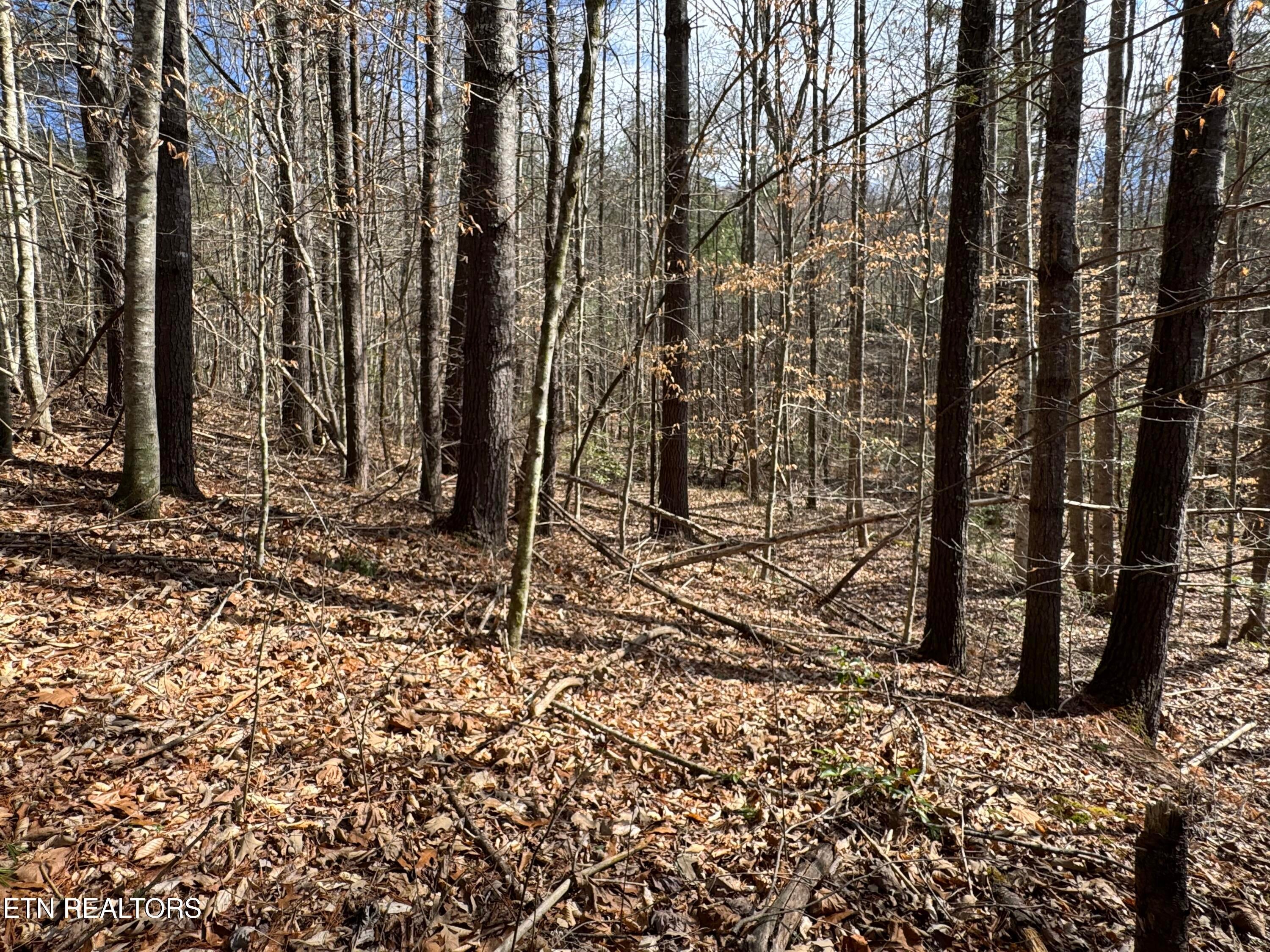 Cougar Trail 4.54ac lot 15