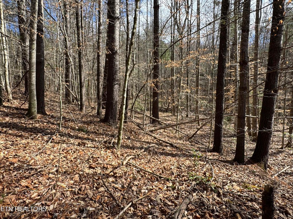 Photo of Cougar Trail 10.1, Del Rio, TN 37727 (MLS # 1294322)
