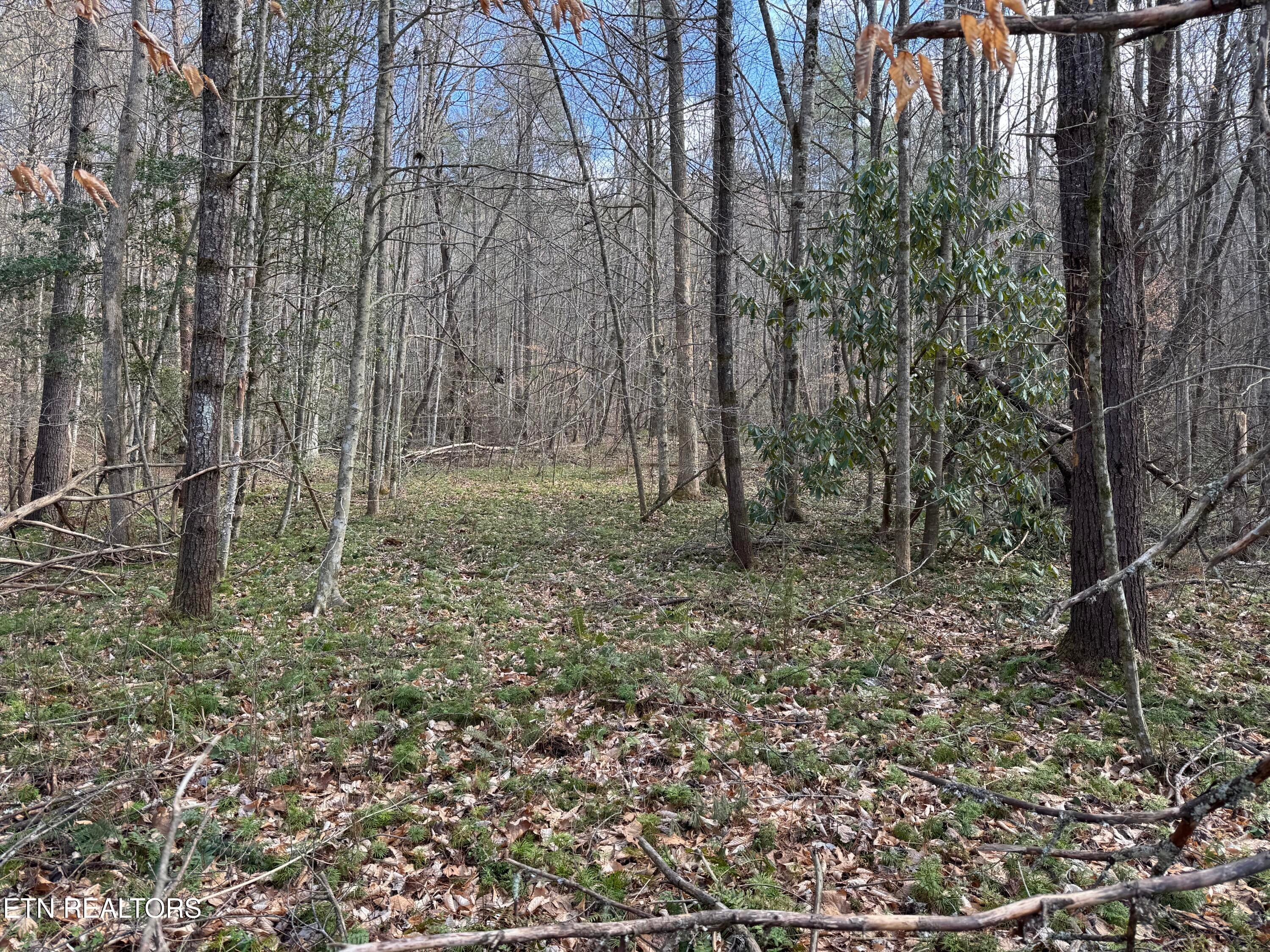 Cougar Trail 4.54ac lot 15