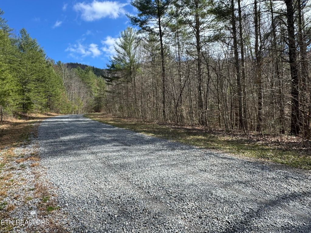 Photo of Cougar Trail 10.1, Del Rio, TN 37727 (MLS # 1294322)