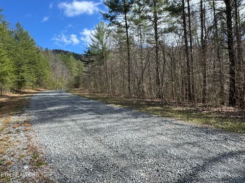 Cougar Trail 10.1 Del Rio TN 37727