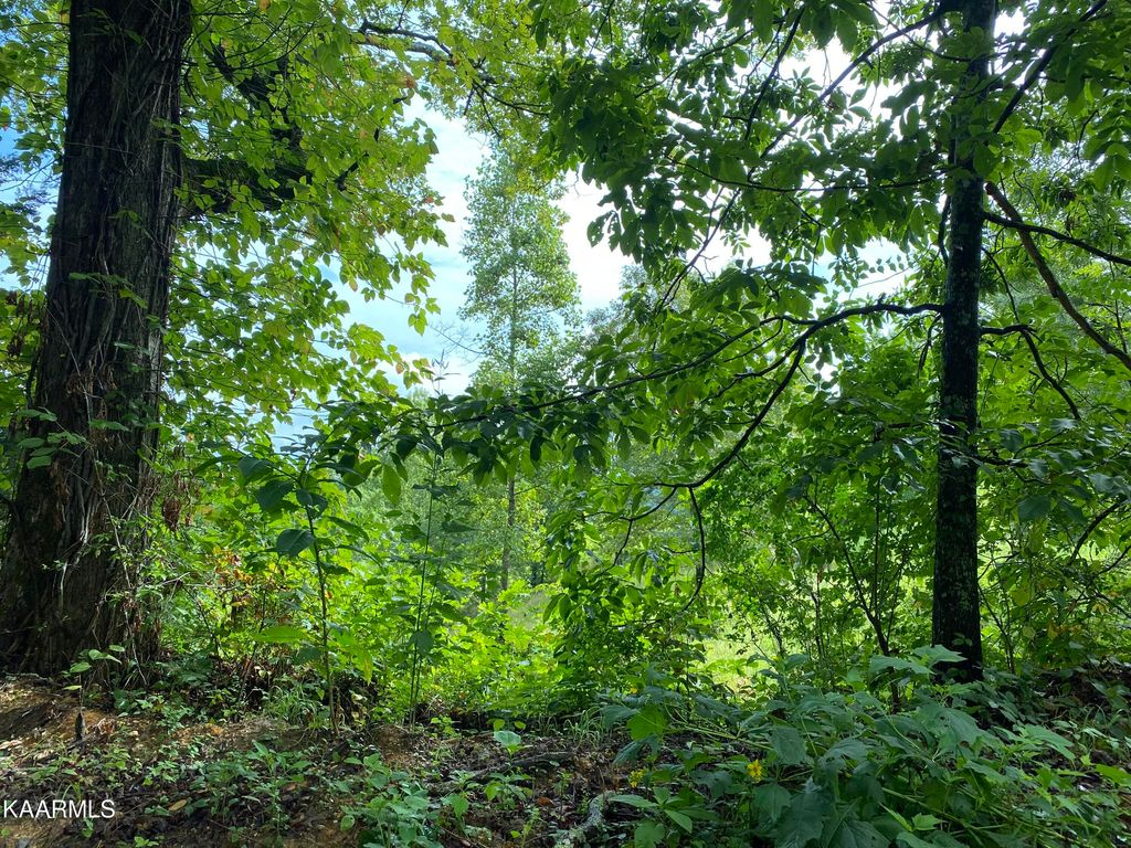 Photo of 4556 Huffine Rd, Loudon, TN 37774 (MLS # 1331996)