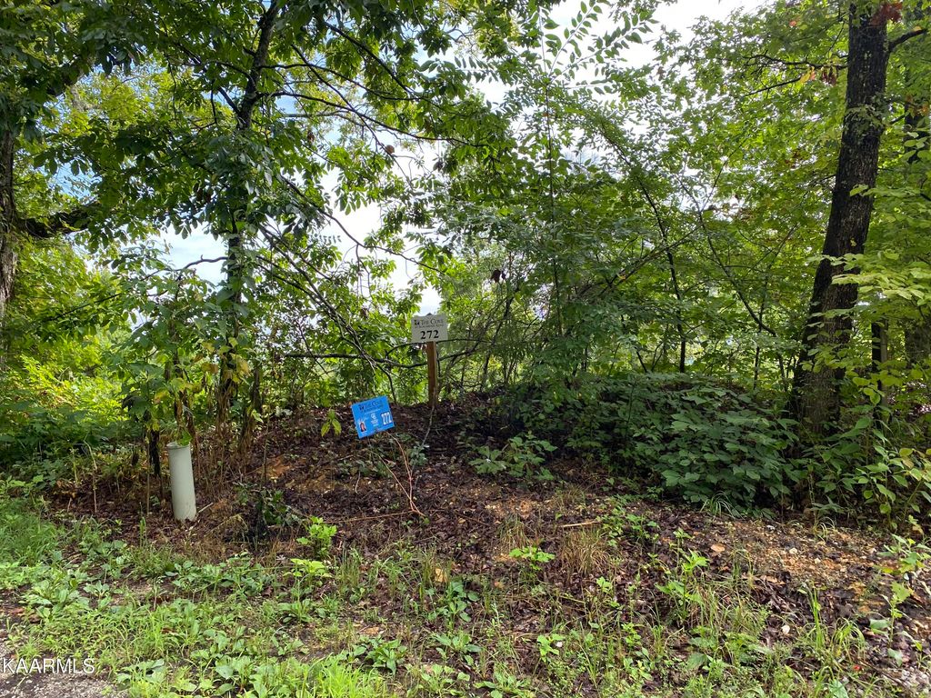 Photo of 4556 Huffine Rd, Loudon, TN 37774 (MLS # 1331996)