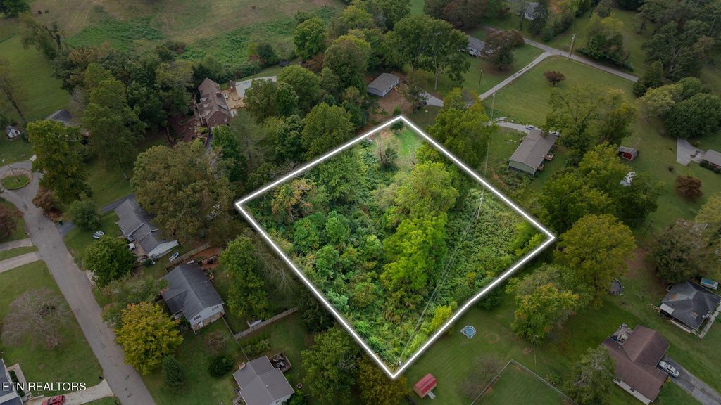 Photo of Martha Lee Lane, LaFollette, TN 37766 (MLS # 1316913)