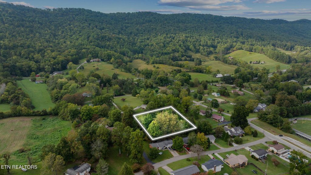 Photo of Martha Lee Lane, LaFollette, TN 37766 (MLS # 1316913)