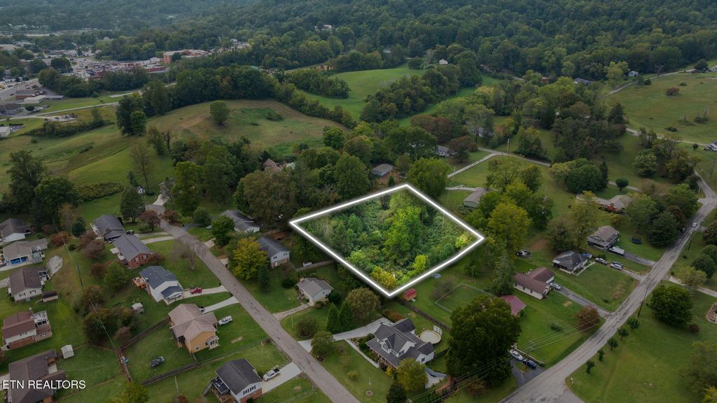 Photo of Martha Lee Lane, LaFollette, TN 37766 (MLS # 1316913)