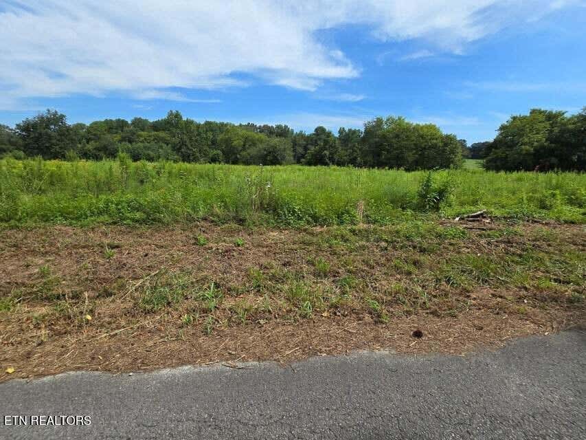 Photo of 127 S U Lot 25, Dunlap, TN 37327 (MLS # 1352770)