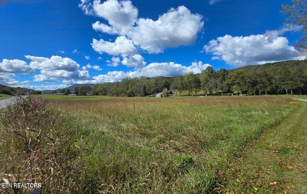 Photo of 20377 Wilderness Rd, Rose Hill, VA 24281 (MLS # 1326011)